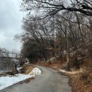 양평로그캠프 | [양평 애견동반펜션]경기도 애견동반 로그캠프펜션에서 강쥐들과 안전하게 불멍 즐기기❤️