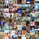 반딧불요양원 | 인기 블로그 포스팅 모음: 매일 상위 랭크의 인기 블로그 게시글 모아! (2025.07.09 09:16)