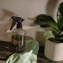 센터피스 세탁소 | 2025년 인테리어 소품 추천 완벽 가이드 7가지 - 가격대별 베스트 제품 리뷰