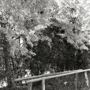 간척초등학교 이미지