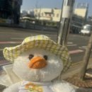 [태안] 안면도 리솜, 게, 그리고 유잼도시,, 🦀