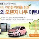 이벤트오렌지나무 이미지