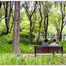 대구수목원 이미지