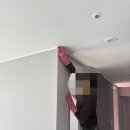 군단벽지