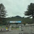 미탄초등학교 | 차량용 블라인드 추천 / 강원도 평창 방림초등학교 어린이 통학버스 미니버스 카운티 차량용 블라인드...