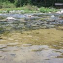 무흘나인펜션 | 여름 피서는 애견 동반 계곡 펜션 무흘나인펜션 (feat 무흘계곡)