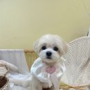 킨더그루밍 이미지