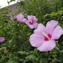 무궁화공업사 이미지