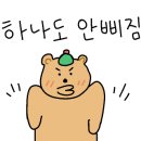 디오션크루즈 이미지