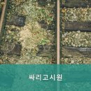 싸리고시원
