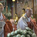 광우수석 이미지