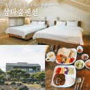 손길펜션 | ""제주 조천 다정한 정원과 정성 가득 조식 "삼다숲펜션" 숙박 후기