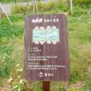 평택시농업기술센터 농기계임대소 화장실 | 평택시 농업생태원, 아이와 함께 가볼만한 곳, 당일여행코스