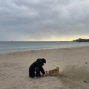 가족과 함께하는 우리 밀 베이킹 | 12.31) 새해 맞이 구룡포해수욕장 바로 앞 애견동반 숙소 ‘해변민박’