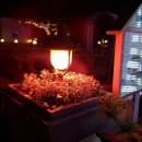 팔공테마리조트 이미지