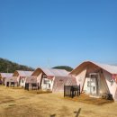 뉴행운성인게임랜드 | 대부도글램핑 깔끔한 신축 글램탑럭셔리글램핑 서울 근교 안산여행 겨울 캠핑 후기