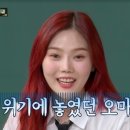 비밀정원 이미지