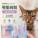 고양이 유산균 추천 누터스가든 락토비피