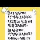 캘리그라피 이미지