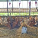 충주농장 이미지