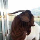 주완농장 이미지