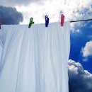 이수세탁 이미지