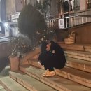 11월말 결산