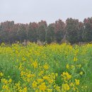 산록남로 이미지