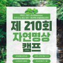 대지로1R | 제 210회 8월 자연명상캠프(8월29일~31일)