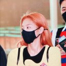 오늘은오므라이스