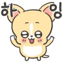 독스마캣 미사강변점 네이버블로그
