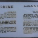 청실문구