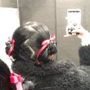 112901-라022-2 | 右手にペンラ 左手うちわ 準備はOK