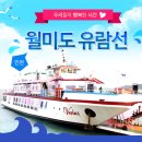 월미도해양관광(주)