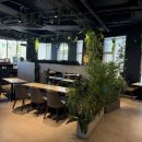 삼척시 평생학습관 주차타워 | 강동 브런치 맛집 브런치빈 명일점 후기 메뉴, 주차