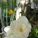 나훈아노래방 이미지