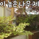 수정로153번길 이미지