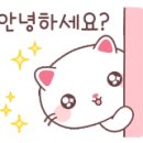 나무요양보호사교육원 네이버블로그