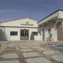 할로하우디(HALO HOWDY) 이미지