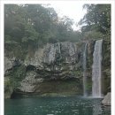 천지연 앞 이미지