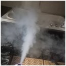 (주)세이브 | 해충 박멸 고민 끝, 믿고 맡기는 (주)세이브프롬 이용 후기