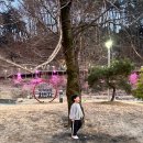 영남식당 | [충북 속리산 맛집] 영남식당 다녀온 후기 / 속리산 한정식 밥집