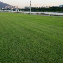 농구장3면 이미지