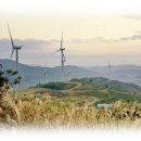 가야2동-4 이미지