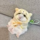 백악산 삼계탕 이미지