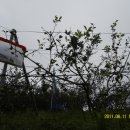 용순농장 이미지