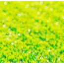 본산부인과의원 이미지