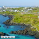 애월한담해안산책로 | 애월 한담해안산책로 봄날 산책 후기, 주차꿀팁 제주서쪽여행 한담카페거리