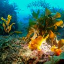 작은한개 이미지