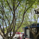 옥화 농장 | [삼돌이 학교 6기] 영월군 귀농귀촌 체험교육_2024. 4월 마을 스테이 후기